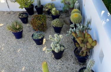 Casa del Mar - Foto 6