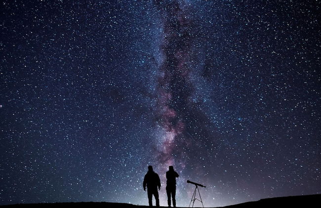 The Mackinnon - Photo 22