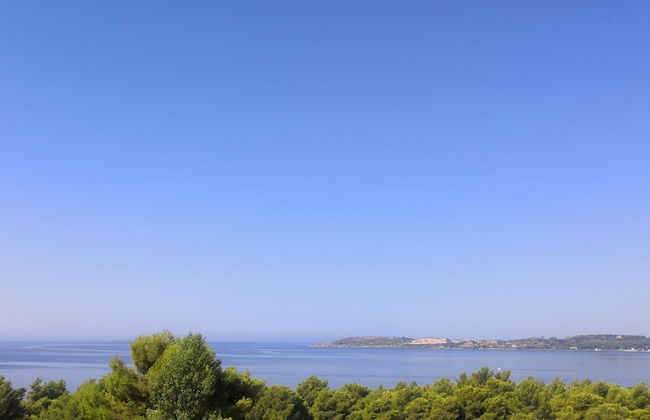 Seapine Studios - Foto 26