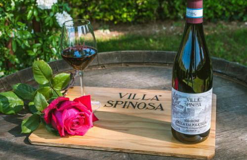 Corte Spinosa - Foto 26