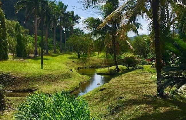 Orchard House - Photo 32