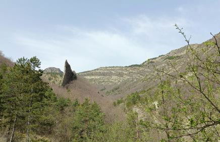 Le jardin de Nigelle , Bas De Villa En Provence - Foto 32