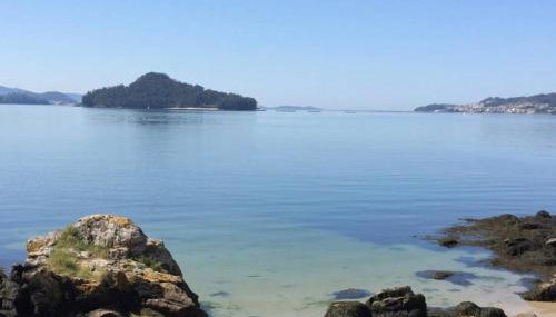 La Casa de las Ranas - Foto 4