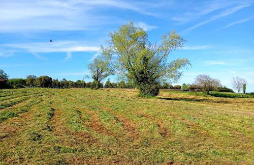 El Pinar de Arna - Photo 52