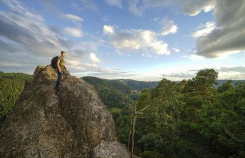 Feriendomizil zwischen Baden-Baden - Offenburg - Foto 13