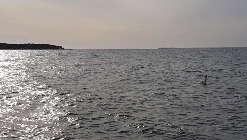 Ferienwohnung Bergholz - Foto 5