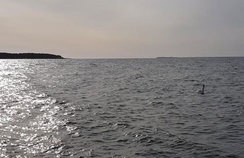 Ferienwohnung Bergholz - Foto 5