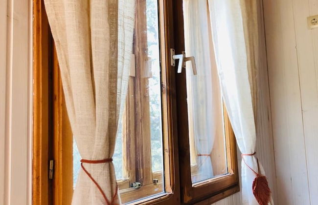 Hamlet's Friends - Foto 15