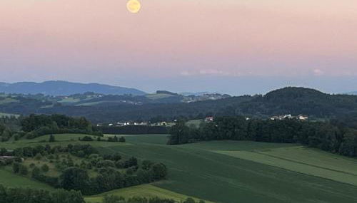 Ferienwohnung Sonnengarten - Foto 3