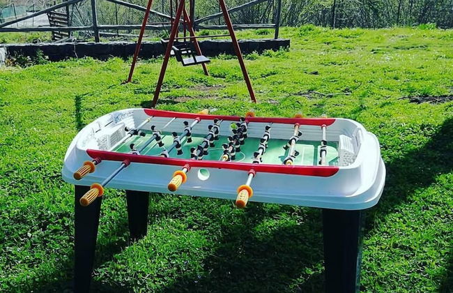 Viola nel Parco - Foto 54