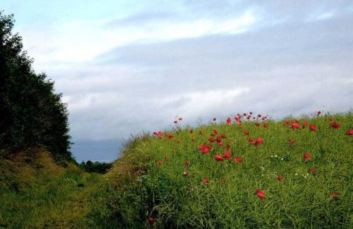 Freya - Huus Asgard Comfortable holiday residence - Foto 18