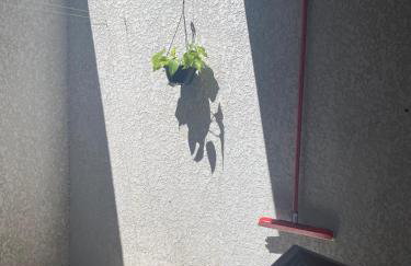 Cozy house to enjoy - Foto 12