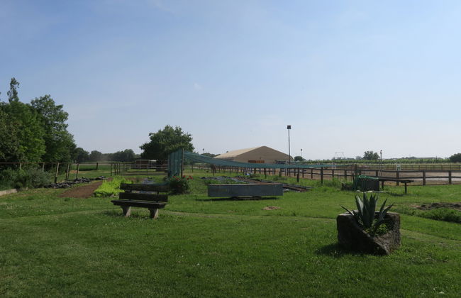 Domus Magna - Foto 37