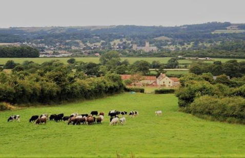 The Byre - Luxury Barn, near Wells, Somerset, pool, gym - Photo 11