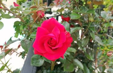 Entre Ciel et Terre - Foto 21