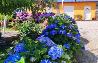 Casa Da Jesus - Photo 41