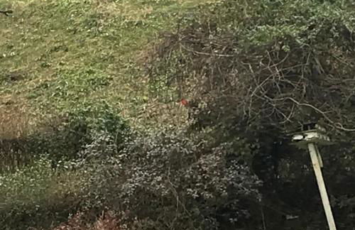 Quiet Harrisburg home - Foto 17