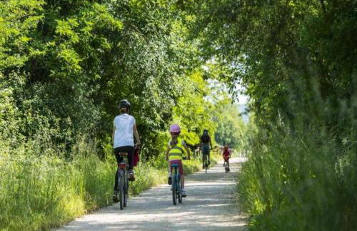 Gite les Oliviers - Le Domaine du Viticulteur - St Maurice d Ibie - Foto 35