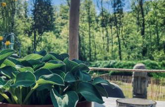 Holiday Home Tolles Ferienhaus in Bolanden mit Großer Terrasse by Interhome - Foto 24