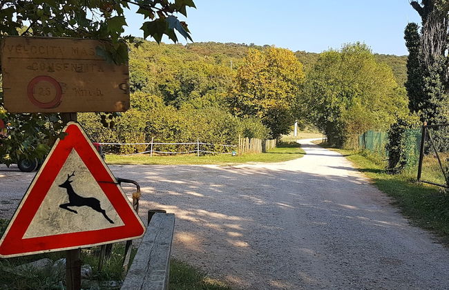 Musella Winery & Relais - Foto 70