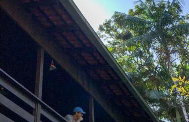 Casa de campo com cachoeira no quintal - Foto 63