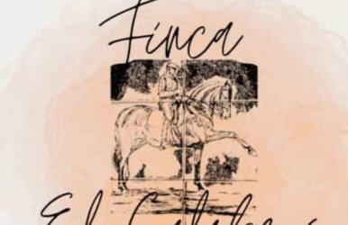 CASA GRANDE FINCA EL CALABRES - Foto 68