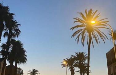 La Margarita Beach Apartment, Club Tropicana - Foto 46
