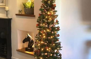 Renovated Miner’s Cottage - family & dog friendly - Foto 4