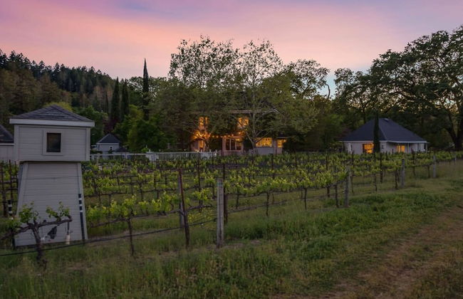 French Provencal Chateau in the Heart of Napa - Foto 21