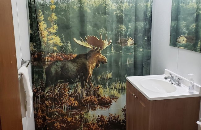 lazy bear cabins - Foto 49