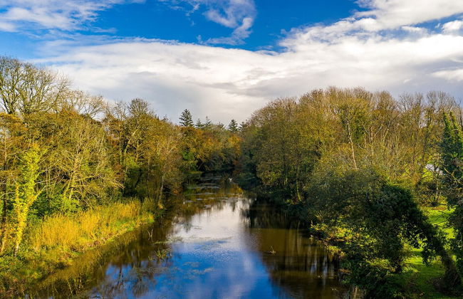 Castlemartyr Holiday Lodge - Foto 61