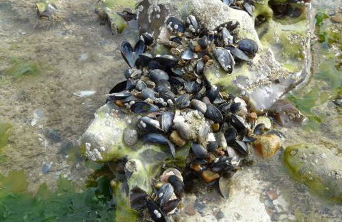 L'écoutille - Foto 21