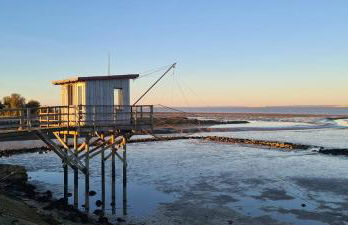 Domaine des Prés de Joussac - Entre Estuaire et Océan - Foto 53