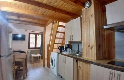 Paradis St Véran - Foto 4