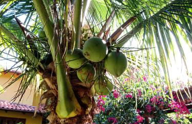 Chale da Lu - Photo 13