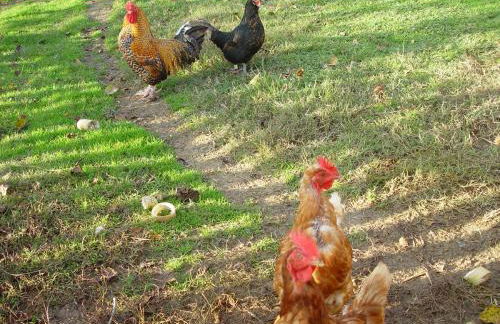 Agriturismo Villa Fiore - Foto 96