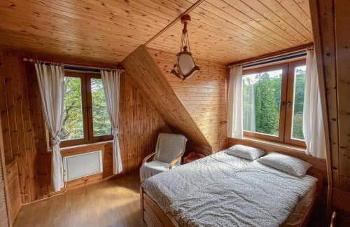 Rzeka i las - Photo 42