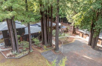 Serenity Grove - Foto 15