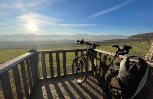 Drewniany dom w brzozowisku - Foto 57