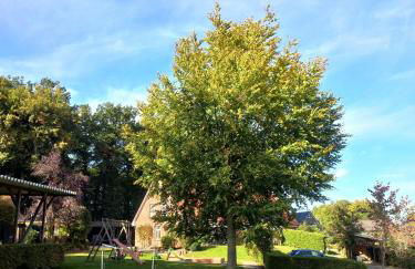 Haus-Auetal - Photo 19