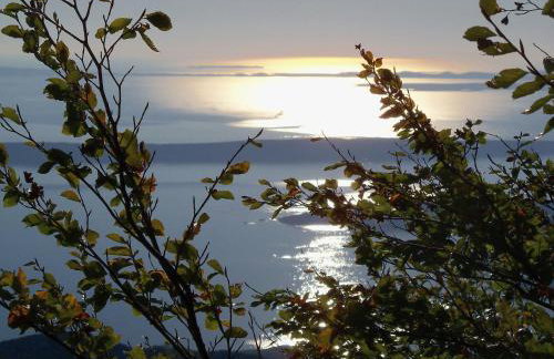 House Kaja - Photo 16