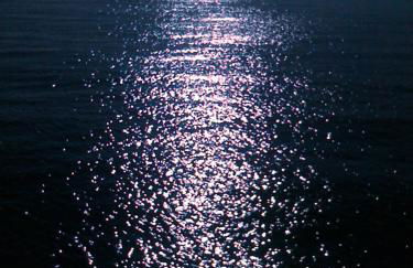 Peeneurlaub - Foto 51