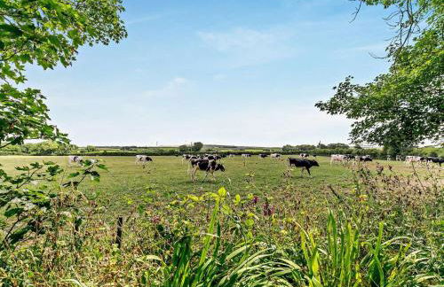 1 Bed in Wadebridge oc-75735 - Foto 14