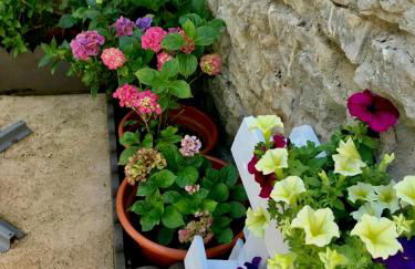 Genciana, Casa Rural con encanto en La Montaña Leonesa - Photo 42