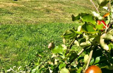 Loft 80 mts en un entorno natural. - Foto 44