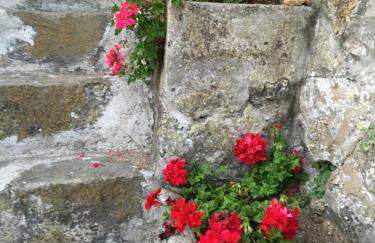 Casa do Miradouro - 1º - Photo 21