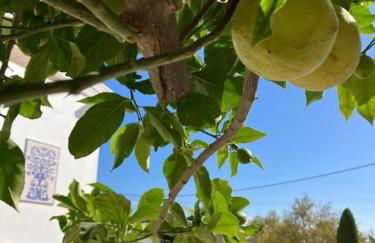 Vila Lana - Heated pool - Sea view - Two independent floors - Foto 4