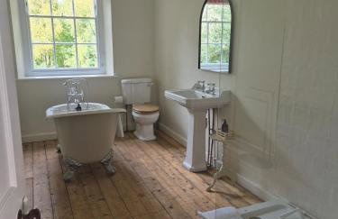 Little Plas - Foto 32