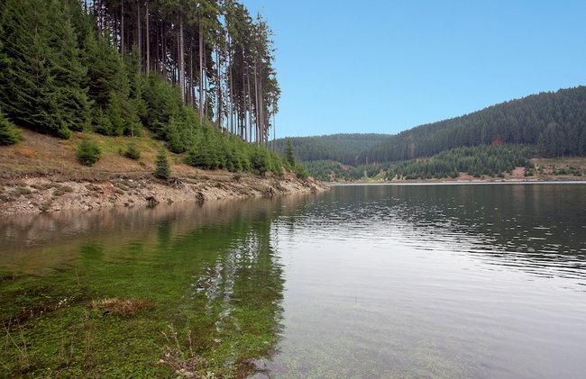 Spacious Stay Near Trails - Photo 24