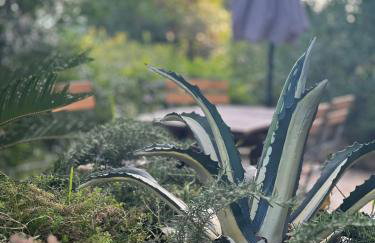La casina fra gli oleandri - Foto 1
